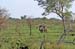 174Parc Kruger 28